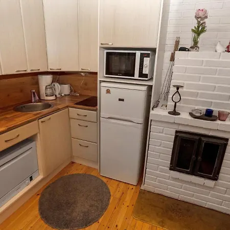 Vakantiehuis Kaukosaaren Ahonrinne By Interhome Ruka