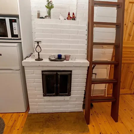 Kaukosaaren Ahonrinne By Interhome Tatil Evi *